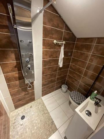 Studio Privee Vesoul -Wifi,Tv,Clim,Parking Gratuit المظهر الخارجي الصورة